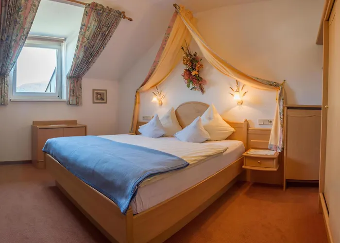 Проживание в семье Edelweiss