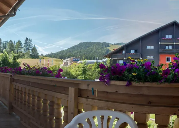 Edelweiss * Seefeld in Tirol